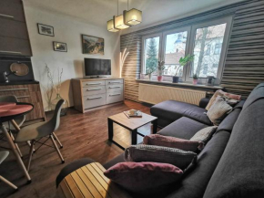 Apartament W SERCU USTRONIA